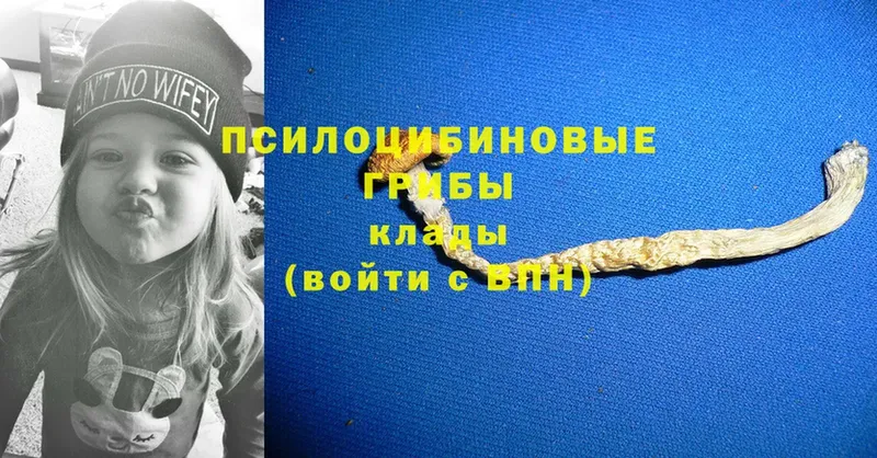 Псилоцибиновые грибы ЛСД  Киреевск 